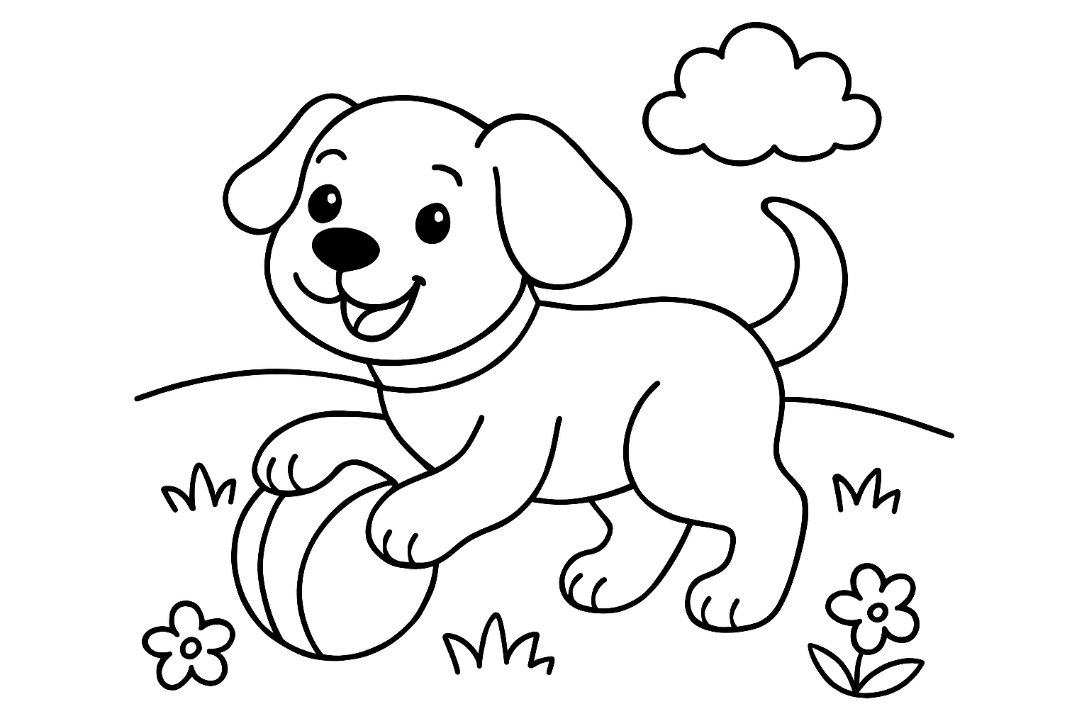 A playful puppy