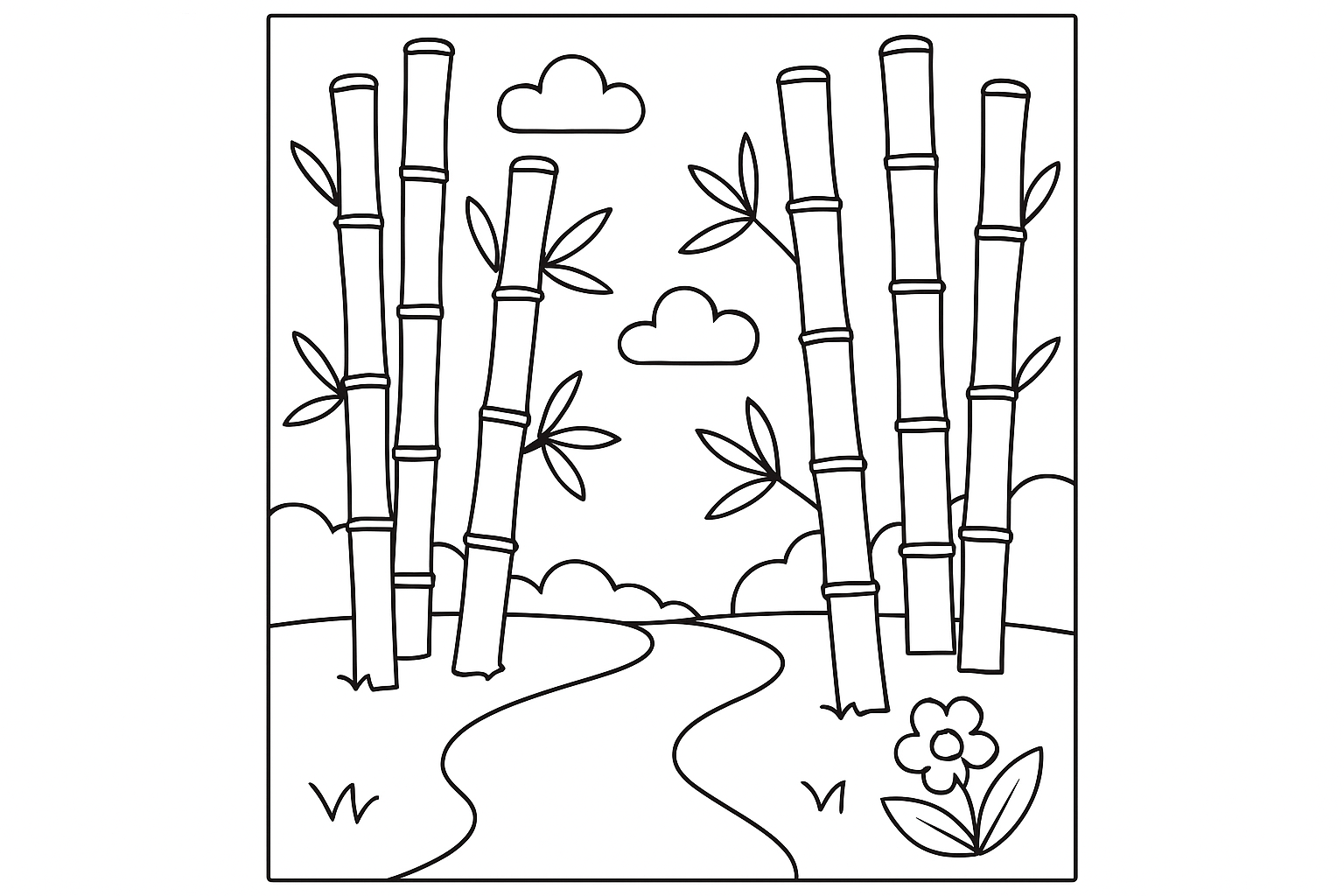 A bamboo forest path