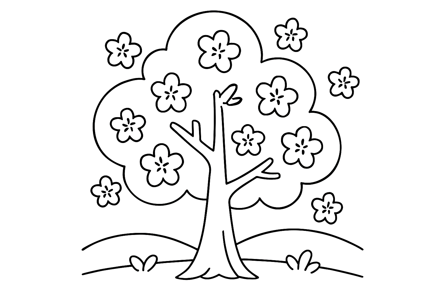 A cherry blossom tree