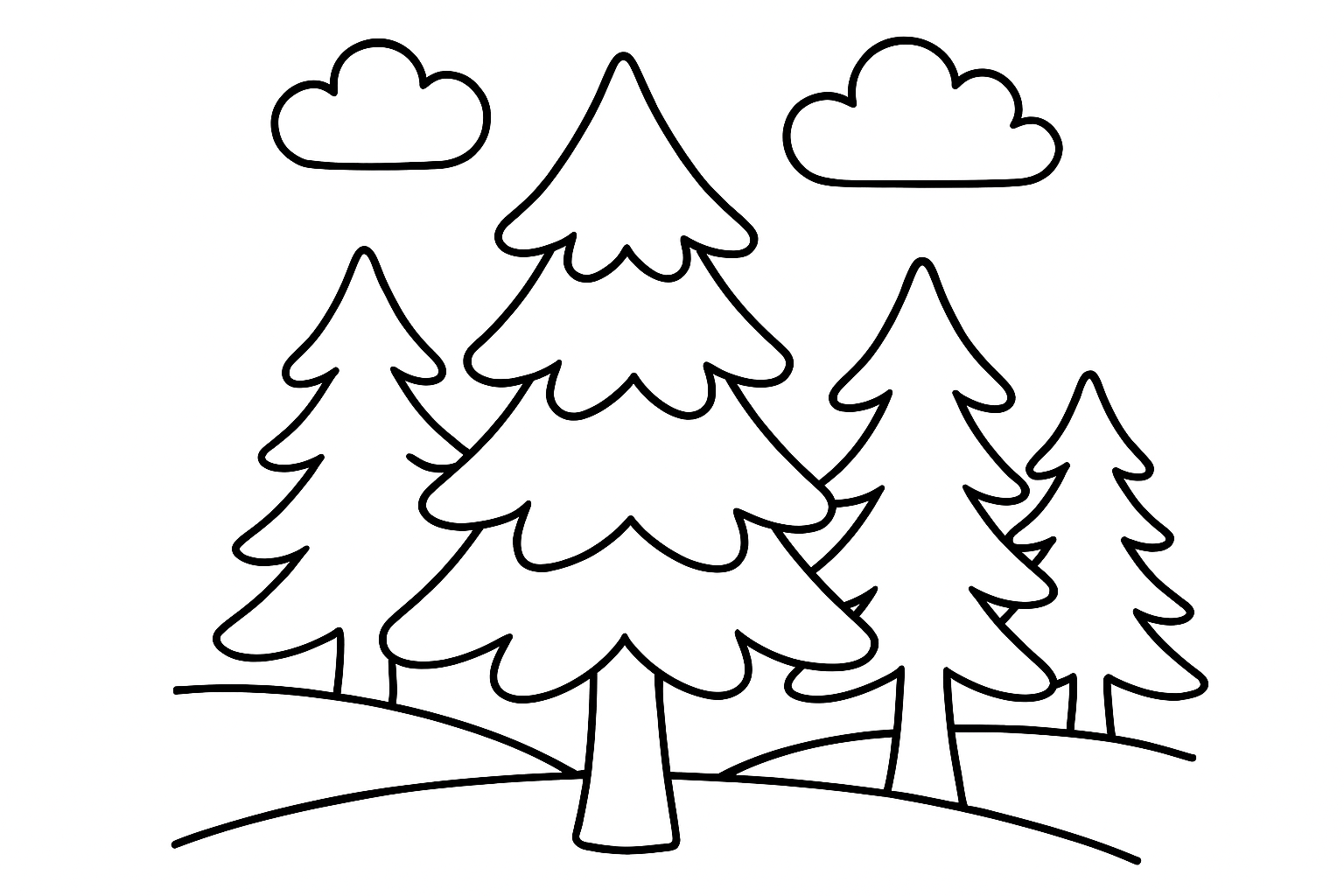 A tall pine tree forest